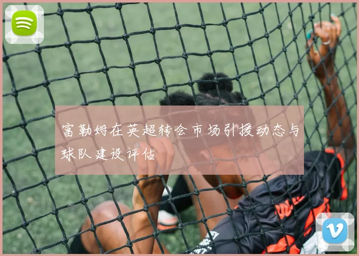 富勒姆在英超转会市场引援动态与球队建设评估