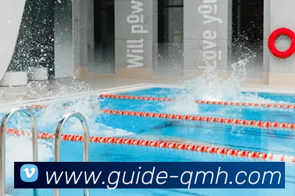 球盟会发展历程