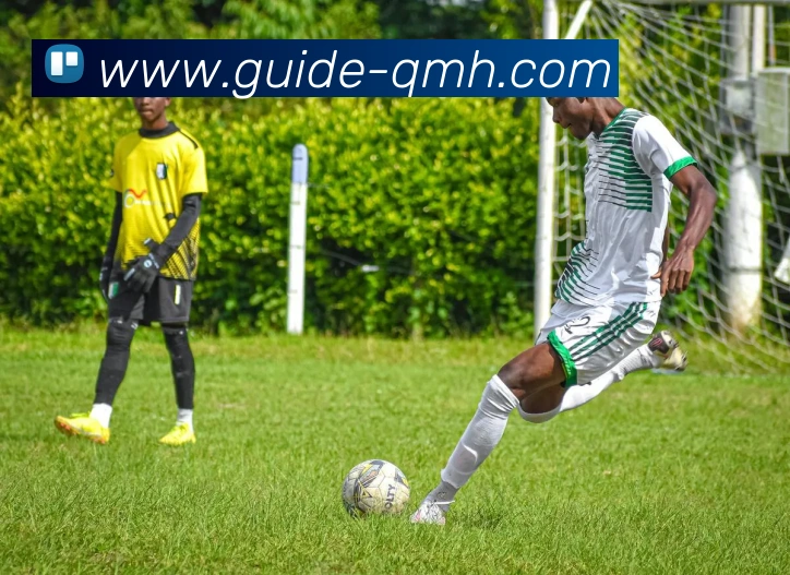 意甲俱乐部球队大全及球队特色全景展示